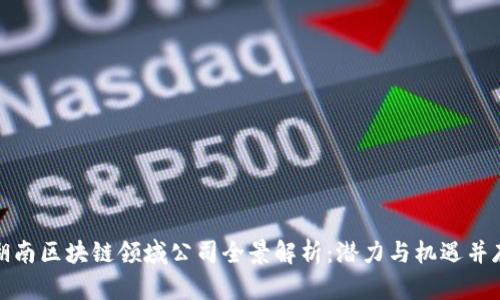湖南区块链领域公司全景解析：潜力与机遇并存