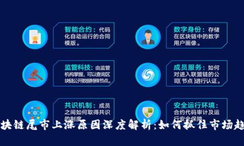 区块链尾市上涨原因深度解析：如何抓住市场趋势