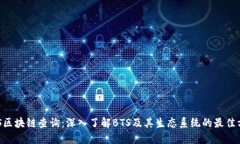 BTS区块链查询：深入了解BTS及其生态系统的最佳