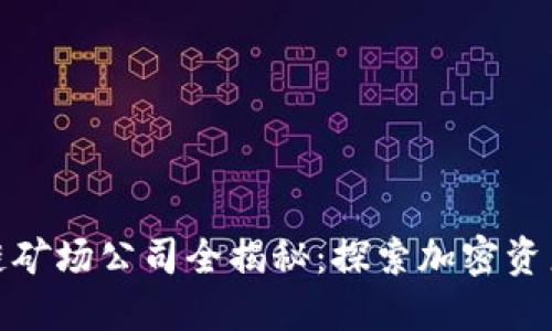 浙江区块链矿场公司全揭秘：探索加密资产的新机遇