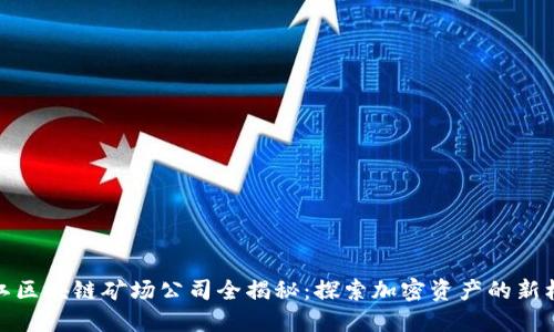 浙江区块链矿场公司全揭秘：探索加密资产的新机遇