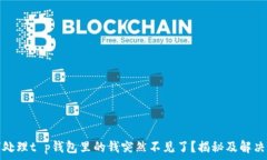   如何处理t p钱包里的钱突然不见了？揭秘及解决