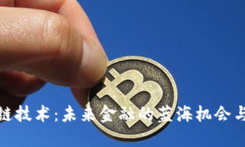 投资区块链技术：未来金融的蓝海机会与风险挑战
