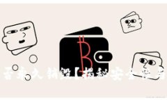 TP钱包能否永久销毁？揭秘安全性与用户选择