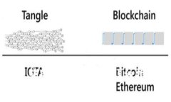 如何将TP钱包转变为观察钱包：详细指南与实用技