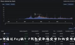 : 如何通过Feg放T P钱包获取稳定分红的实用指南