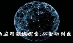 区块链技术的应用领域探索：从金融到医疗的全
