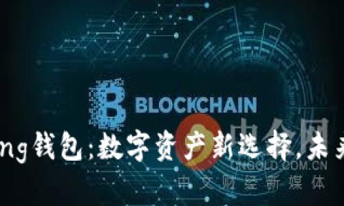 全面解析Bying钱包：数字资产新选择，未来支付的先锋
