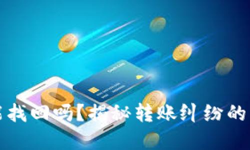 TP钱包转错账还能找回吗？揭秘转账纠纷的解决方案和小技巧