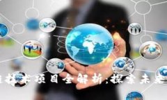 互联网区块链技术项目全解析：探索未来的创新