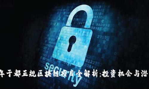 2023年于都正规区块链项目全解析：投资机会与潜力分析