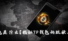 TP钱包是什么？揭秘TP钱包的现状与未来