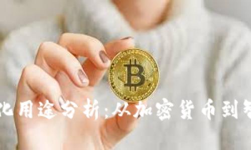 区块链支付的多样化用途分析：从加密货币到智能合约的应用前景