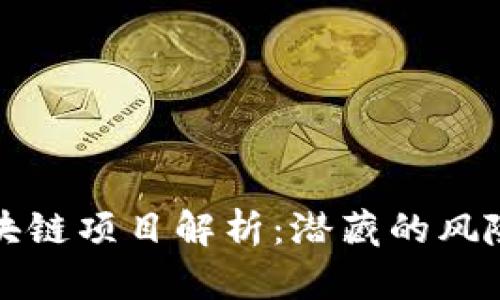 高危区块链项目解析：潜藏的风险与机遇